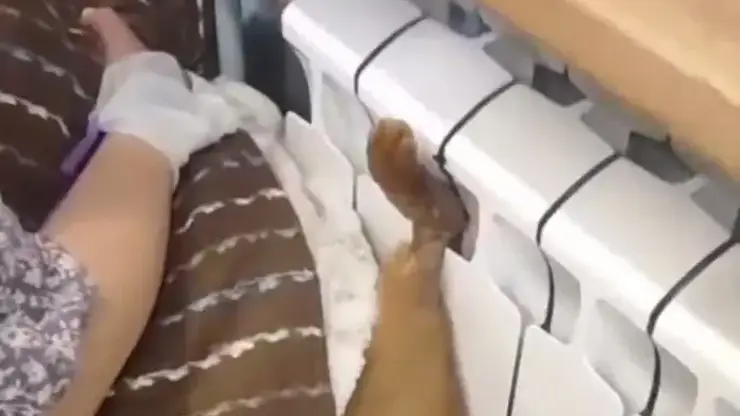 Новосибирские спасатели вызволили кота, застрявшего в батарее