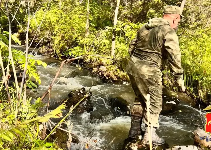 Кузбасский подросток, заблудившийся в тайге, найден в соседнем регионе спустя двое суток (видео)
