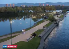Медведь не мог попасть на Татышев в Красноярске, по мнению эксперта