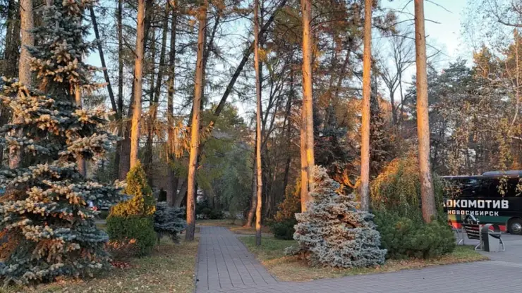 Космомольский парк имени Веры Волошиной в Кемерове ждет реновация