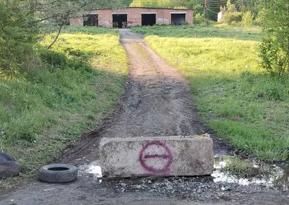 С детьми и с битами. Жители деревни под Ачинском устроили охоту на наркоманов и выслеживают их