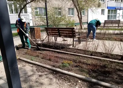 Кизильник и японскую спирею высадили в красноярском сквере на ул. Железнодорожников