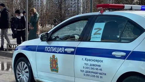 В Красноярском крае задержали подозреваемых в мошенничестве и незаконной рубке леса