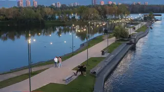 Медведь не мог попасть на Татышев в Красноярске, по мнению эксперта Медведь не мог попасть на Татышев в Красноярске, по мнению эксперта