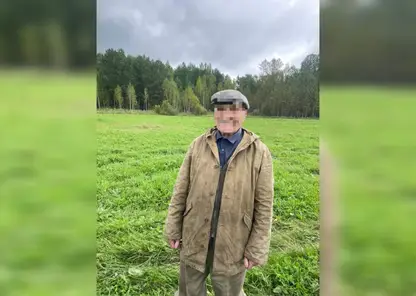 Сутки в тайге: в Красноярском крае нашли измученного жаждой 90-летнего грибника