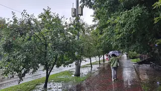 Снова дождь. Прогноз погоды на 3 сентября в Красноярске