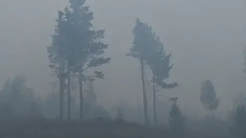 Режим чрезвычайной пожарной опасности ввели в нескольких районах Забайкалья
