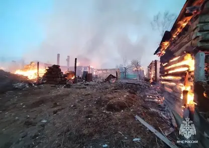 Пожар уничтожил 16 домов в селе Томской области