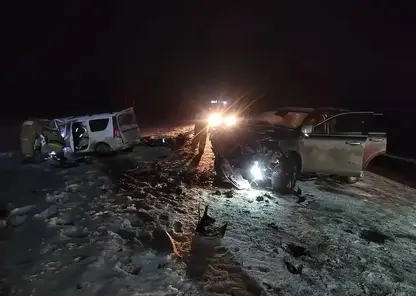 Смертельная авария в Новосибирской области: погибли два человека, четверо пострадали