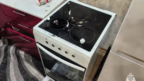 В Новосибирске собака устроила взрыв в квартире