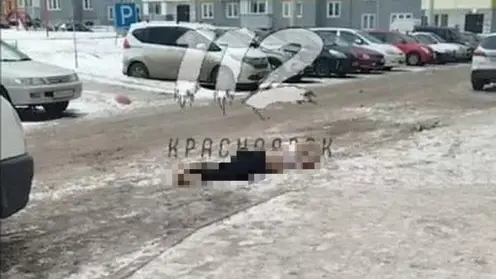 В красноярском Солнечном мужчина выпал из окна на одиннадцатом этаже