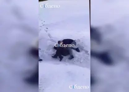 Жестокая драка произошла в Кемеровском ТРЦ