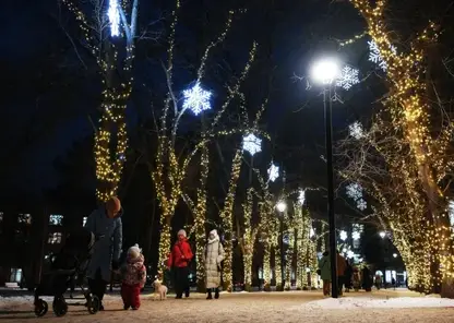 Мэрия Новосибирска назвала концепцию и стиль празднования Нового 2026 года в городе