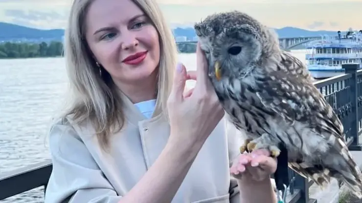 Красноярка заплатила 4,5 тысячи за фото с совами, и поняла, что ее обманули