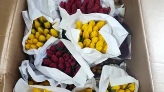 17 тонн тюльпанов и орхидей привезли в Красноярск из-за границы к 8 Марта