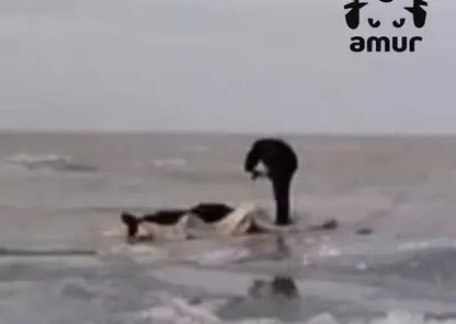 В Приморье рыбаки провалились под лед на машине и утонули