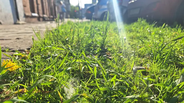 МЧС предупреждает: жара до +35°С и выше накроет Красняорский край 14 июня