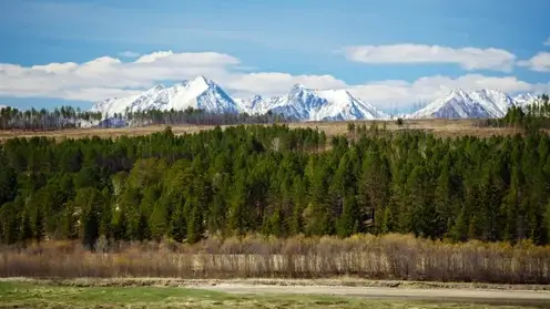 Туристку из Иркутска уже неделю не могут найти в горах Бурятии