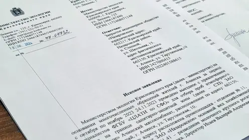 Министерство экологии Красноярского края подало в суд на Ачинский мясокомбинат ЗАО «Назаровское» за порчу экологии