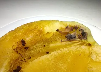 В Красноярске остановили ввоз заражённых нектаринов