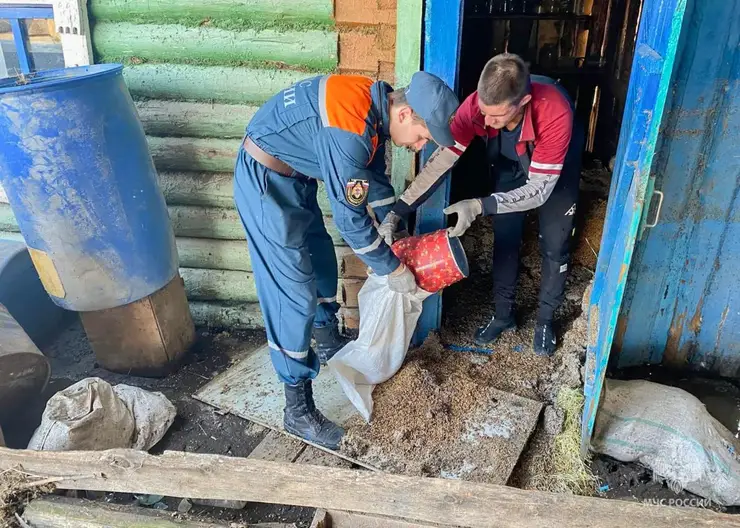 Паводок уходит из Омской области: число подтопленных домов снизилось до 234