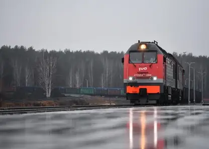 Двое человек погибли под колёсами грузовых поездов в Кемеровской области