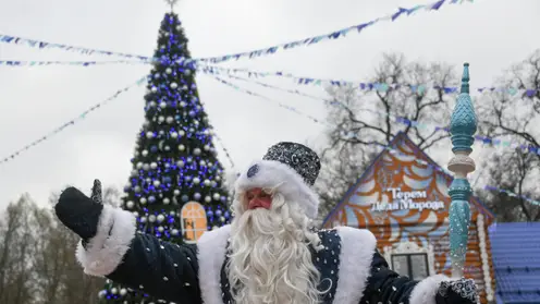 В Красноярске в резиденции Деда Мороза произошел скандал