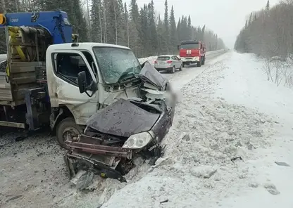 В Красноярском крае два человека погибли в смертельном ДТП с грузовиком