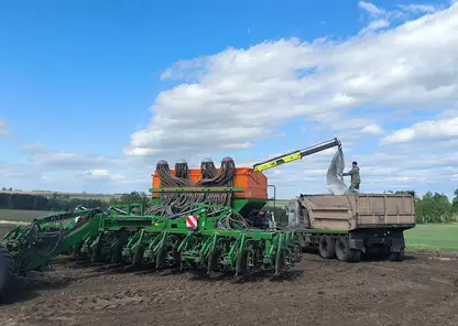 Посевная кампания в Красноярском крае: выполнено более трети плана