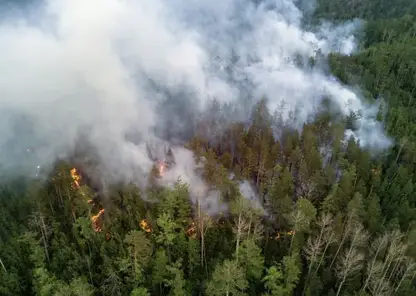 Самый высокий класс пожарной опасности установлен в ряде районов Бурятии