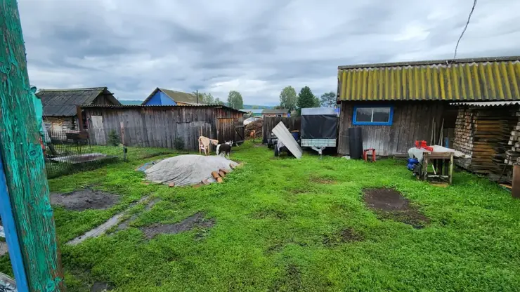Двое подростков из села Березовское выкрали кур и коз с участков соседей, чтобы разводить их самостоятельно