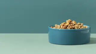 «Алиэкспресс» заплатит норильчанке двойную цену за недоставленный корм для животных