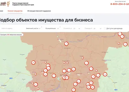 В Красноярском крае для бизнесменов заработал портал имущественной поддержки