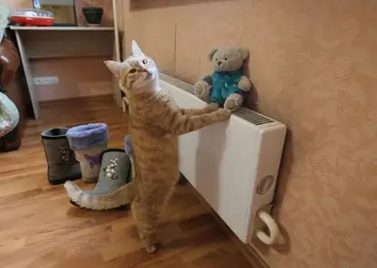 Отопительный сезон стартовал в Красноярске