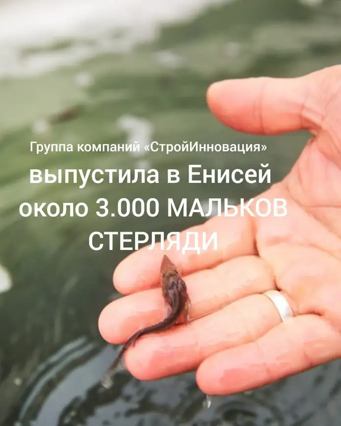 Фото: ГК «СтройИнновация»