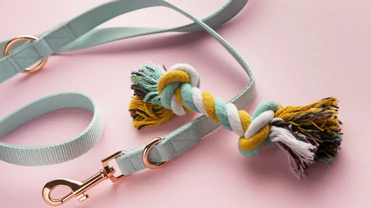 Прогулки с призраками: ученые выяснили, чем опасен хоббидоггинг