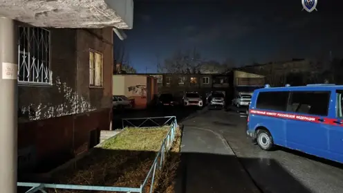 В Челябинске наркоман зверски напал с ножом на 11-летнего мальчика: мужчину хотят признать невменяемым