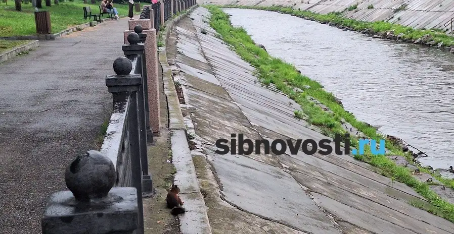 Фото: sibnovosti.ru