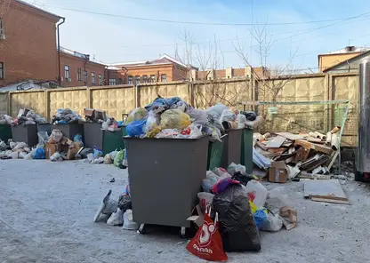 «Это не двор, а кошмар наяву»: мусор и крысы захватывают центр Красноярска