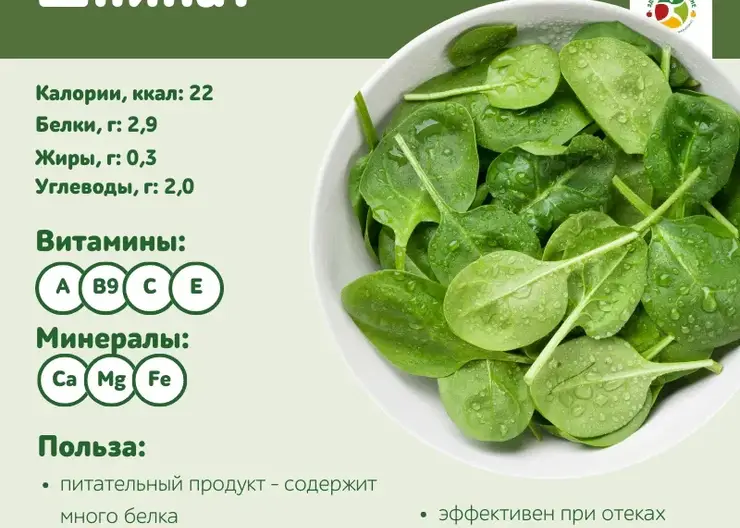 Шпинат — больше, чем просто зелень: специалисты Красноярского края раскрыли его пользу