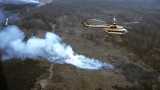 Лесных арендаторов в Забайкалье, отказавшихся тушить пожары, будут лишать лицензий