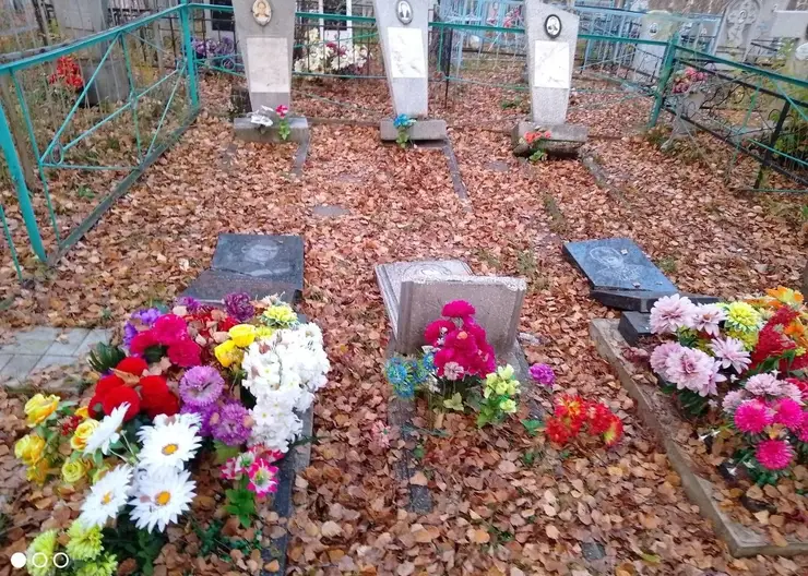 В Березовском районе вандалы осквернили кладбище: повреждены десятки могил
