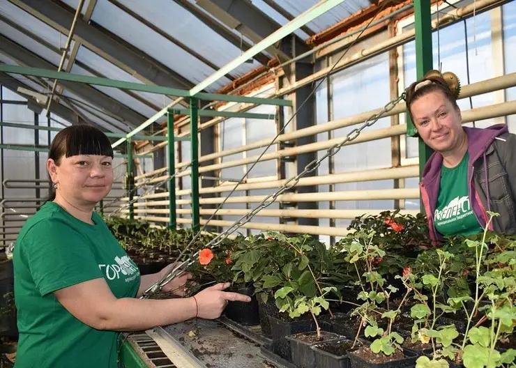 В Хабаровске к юбилею города высадят миллион цветов