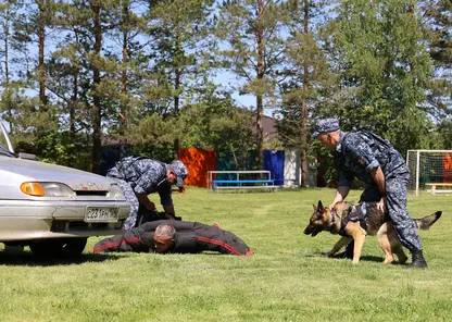 Спецназ задержал и ликвидировал условных преступников в детском лагере под Красноярском