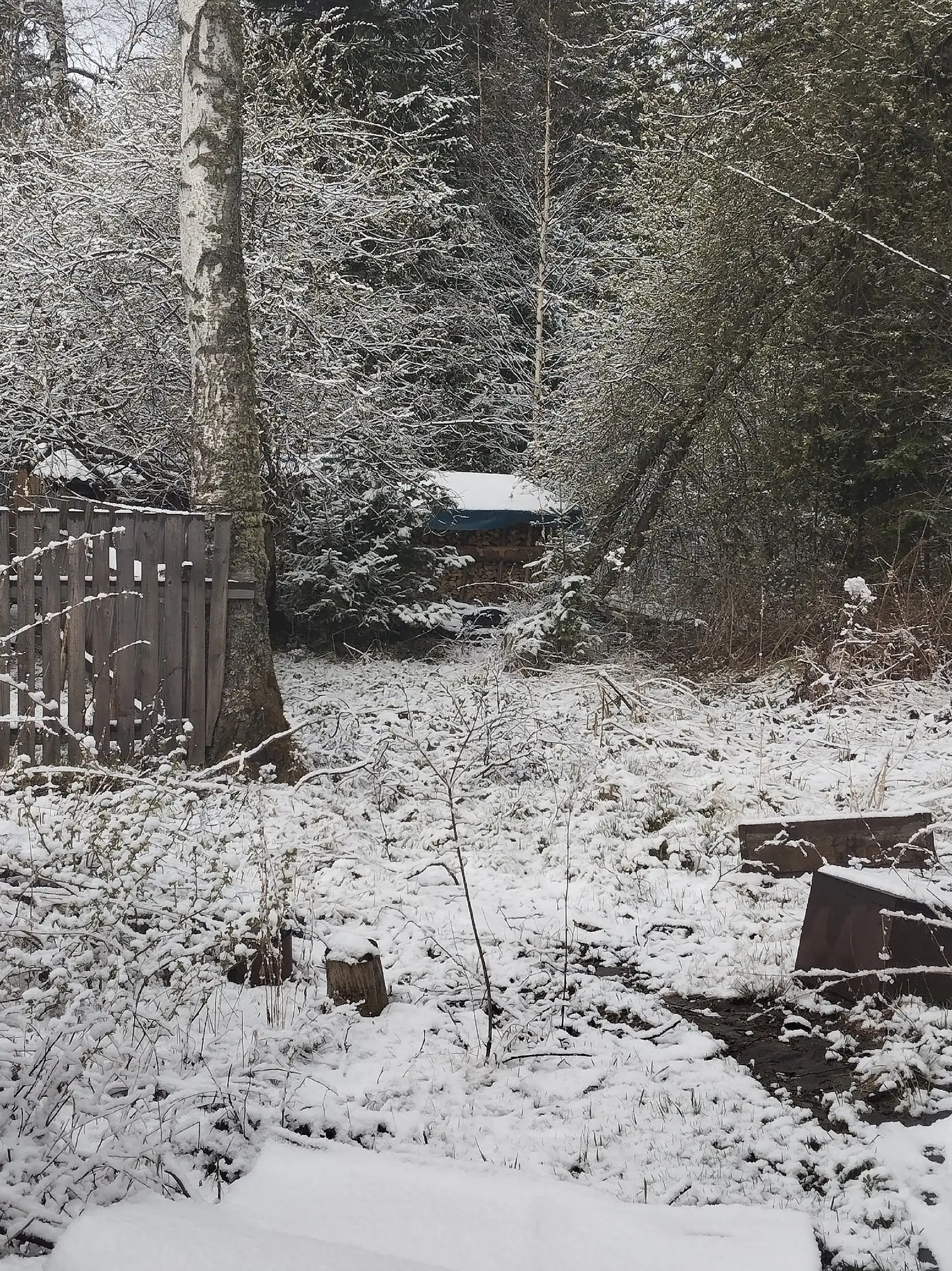 Фото: Елена Ахремюк / vk.com