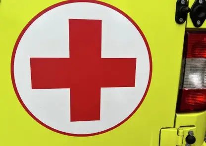 Две девочки отравились крысиным ядом на Алтае