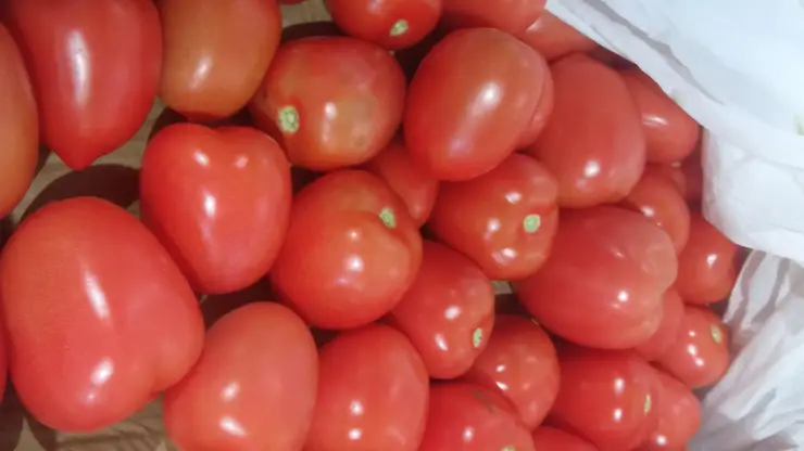 В Красноярске уничтожат почти 4 тонны зараженных томатов из Китая