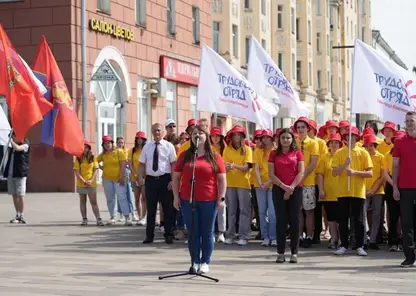 Трудовые отряды главы города Красноярска открыли 19-й летний рабочий сезон