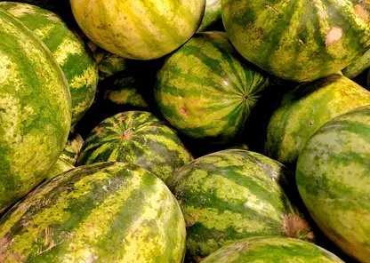 Житель Алтайского края с бензопилой гонялся за продавцом фруктов из-за некачественного арбуза