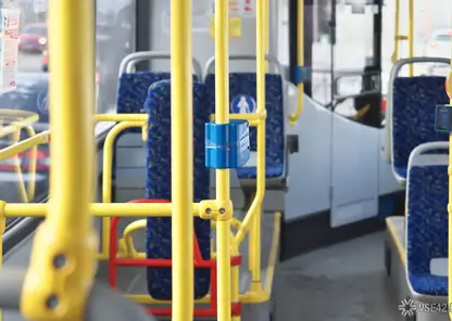 Кемеровского школьника высадили на мороз из-за нехватки денег на проезд: ситуацию взял на контроль глава СК РФ Бастрыкин